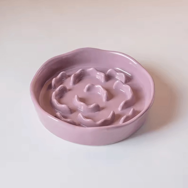 Elevated Ceramic Slow Feeder Bowl For Cats Small Dogs 2