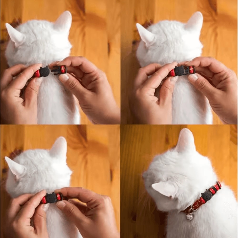 Personalized Reflective Star Moon Cat Collar With Engraved ID Tag 2