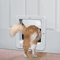Smart Microchip Automatic Pet Door 1
