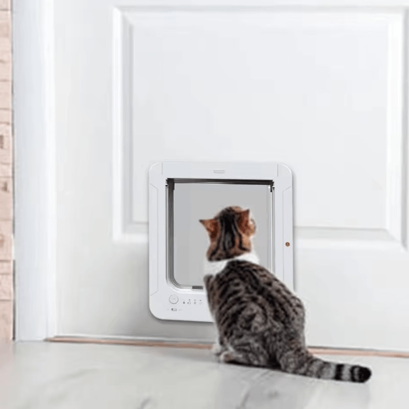 Smart Microchip Automatic Pet Door 2