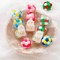 Rainbow Plush Bell Catnip Ball Toy Set 0