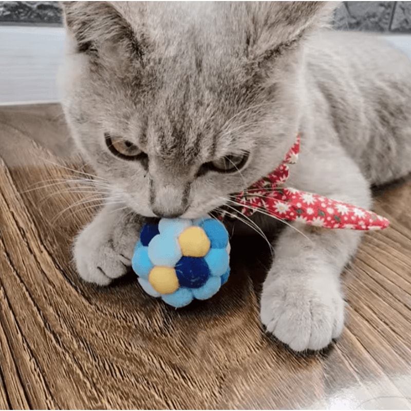 Rainbow Plush Bell Catnip Ball Toy Set 1