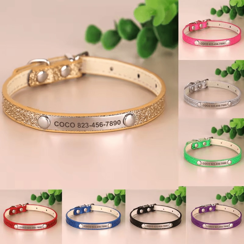 SparkleTag Personalized Cat ID Collar With Engraved Name Tag 0