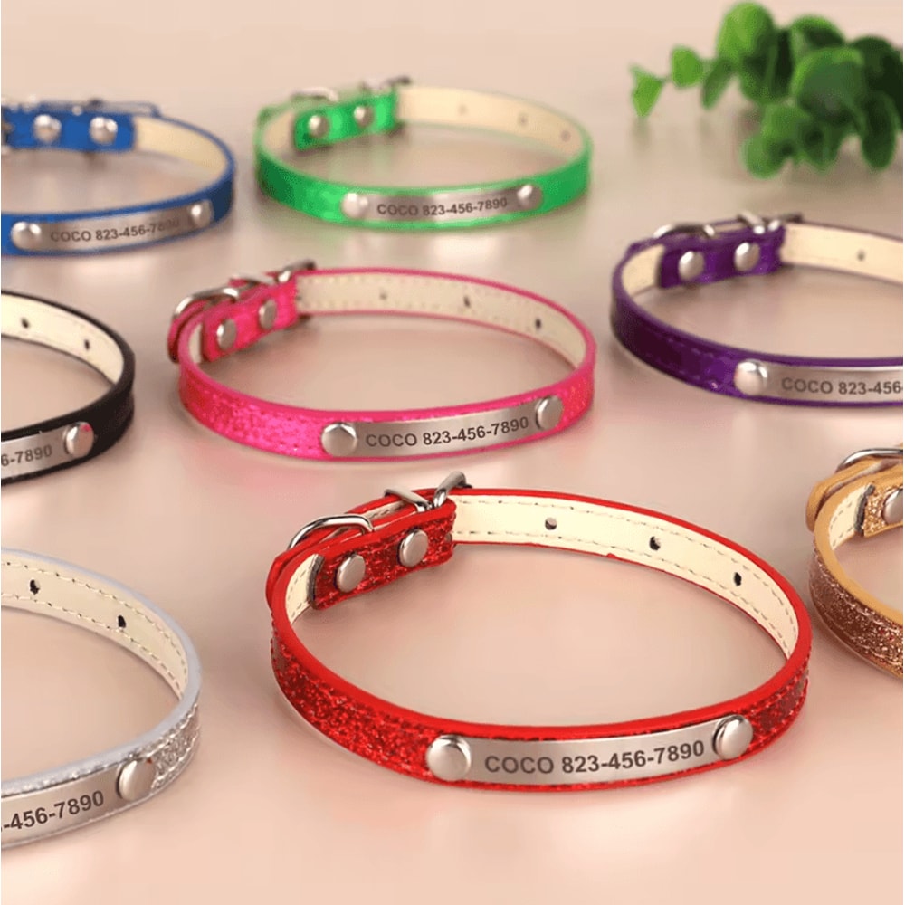 SparkleTag Personalized Cat ID Collar With Engraved Name Tag 1