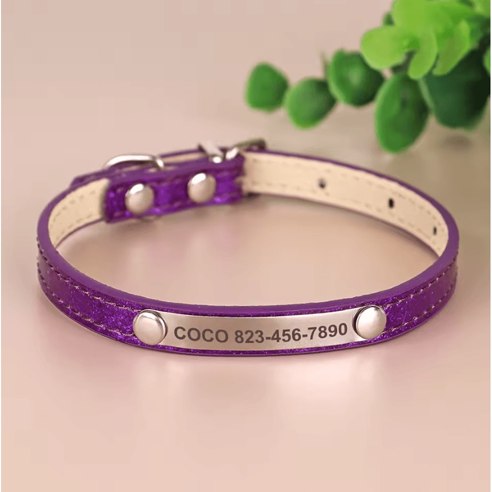 SparkleTag Personalized Cat ID Collar With Engraved Name Tag 3