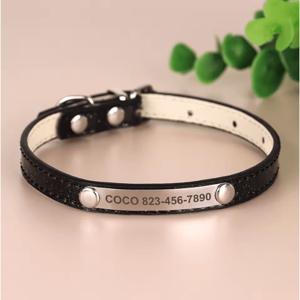 SparkleTag Personalized Cat ID Collar With Engraved Name Tag 4