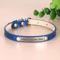 SparkleTag Personalized Cat ID Collar With Engraved Name Tag 6