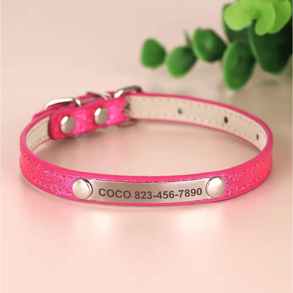 SparkleTag Personalized Cat ID Collar With Engraved Name Tag 7
