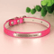 SparkleTag Personalized Cat ID Collar With Engraved Name Tag 7