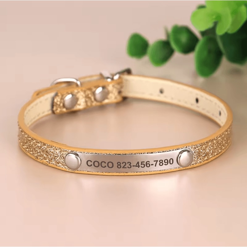 SparkleTag Personalized Cat ID Collar With Engraved Name Tag 8