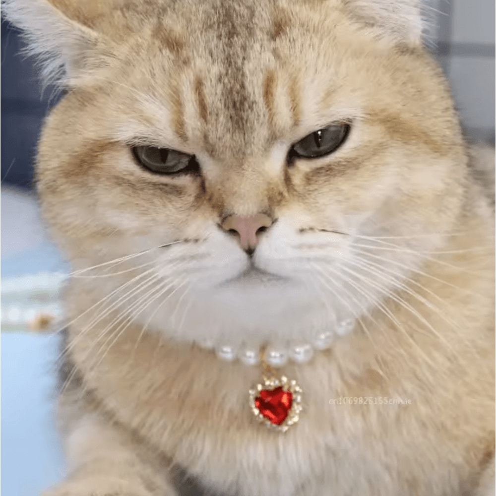 Pearl Princess Pet Necklace Collar 1