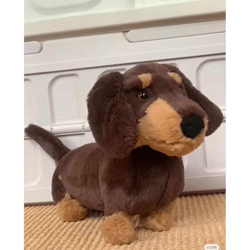 Summer Surfer Plush Cat Toy Collection 4
