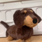 Summer Surfer Plush Cat Toy Collection 4