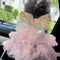 Butterfly Princess Pet Dress For Cats Small Dogs 1