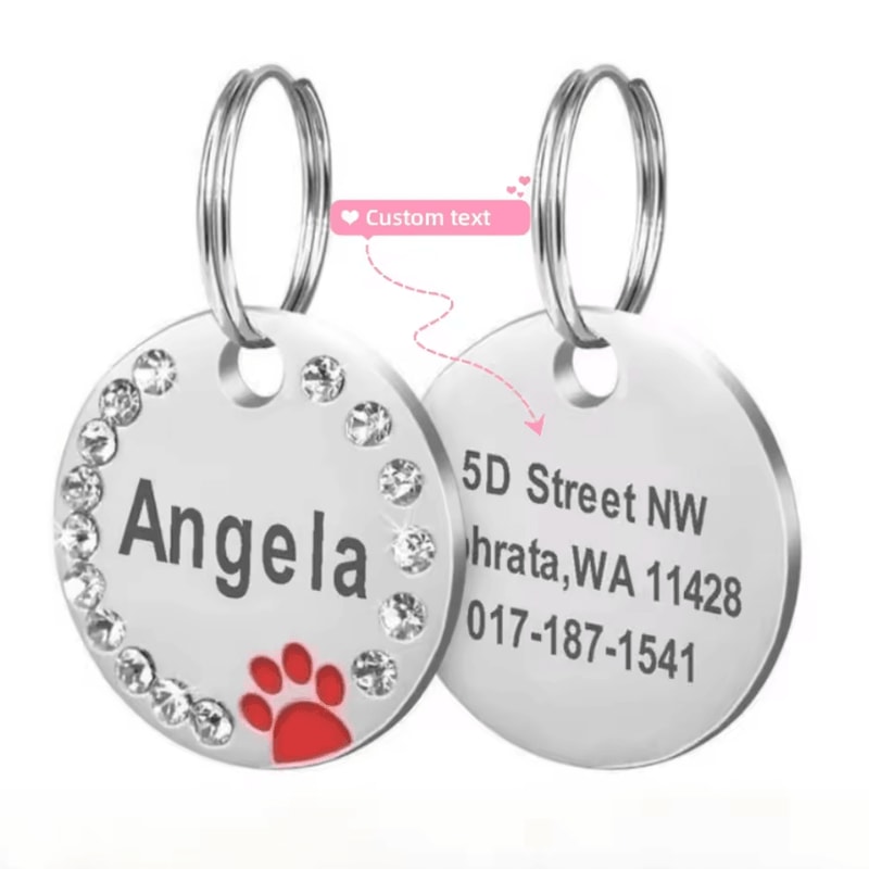 DiamondTag Personalized Stainless Steel Pet ID Pendant 11