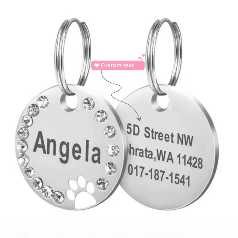DiamondTag Personalized Stainless Steel Pet ID Pendant 12
