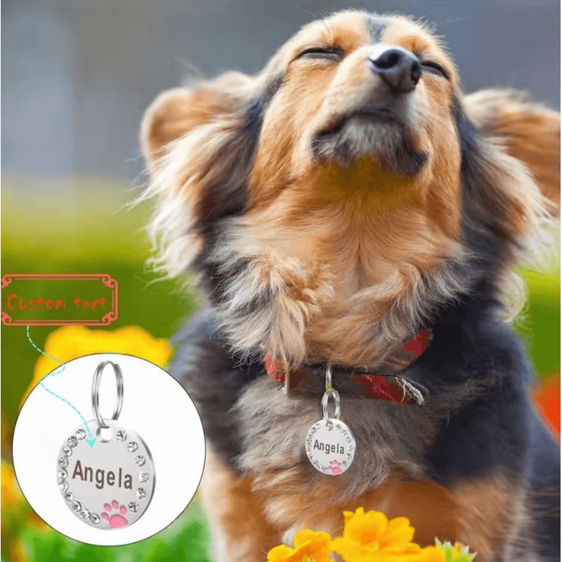 DiamondTag Personalized Stainless Steel Pet ID Pendant 1