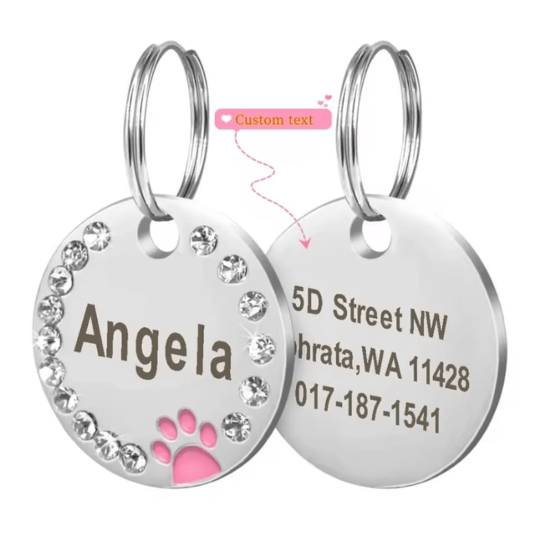 DiamondTag Personalized Stainless Steel Pet ID Pendant 3