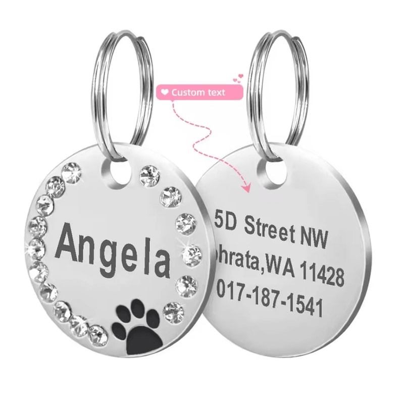 DiamondTag Personalized Stainless Steel Pet ID Pendant 4