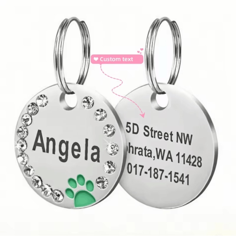 DiamondTag Personalized Stainless Steel Pet ID Pendant 5
