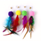 PurrPlay 12Piece Suction Cup Cat Wand Toy Set 4