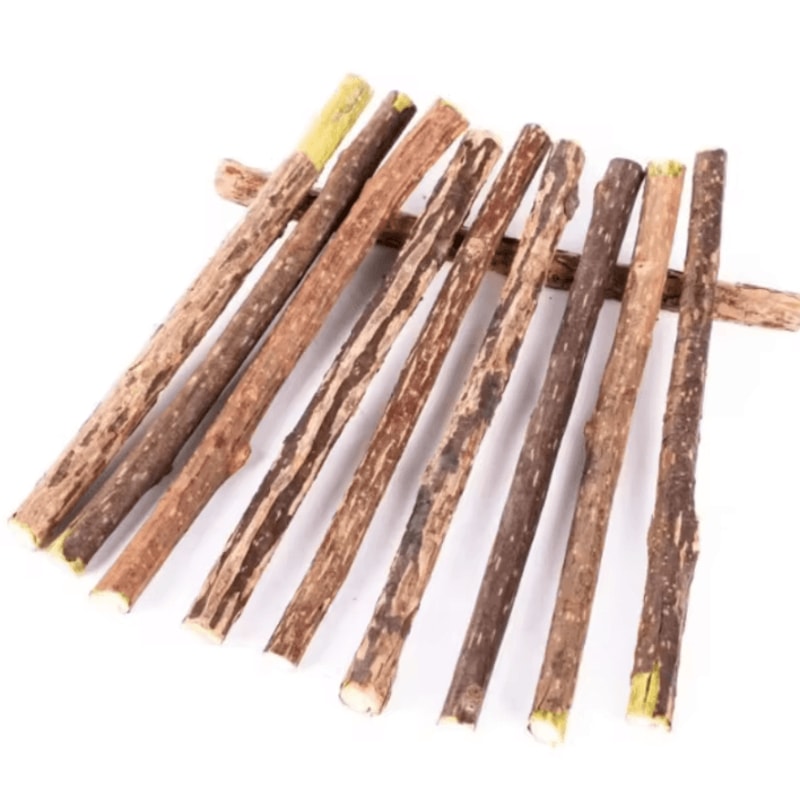 Silvervine Cat Chew Sticks For Dental Health Play 3
