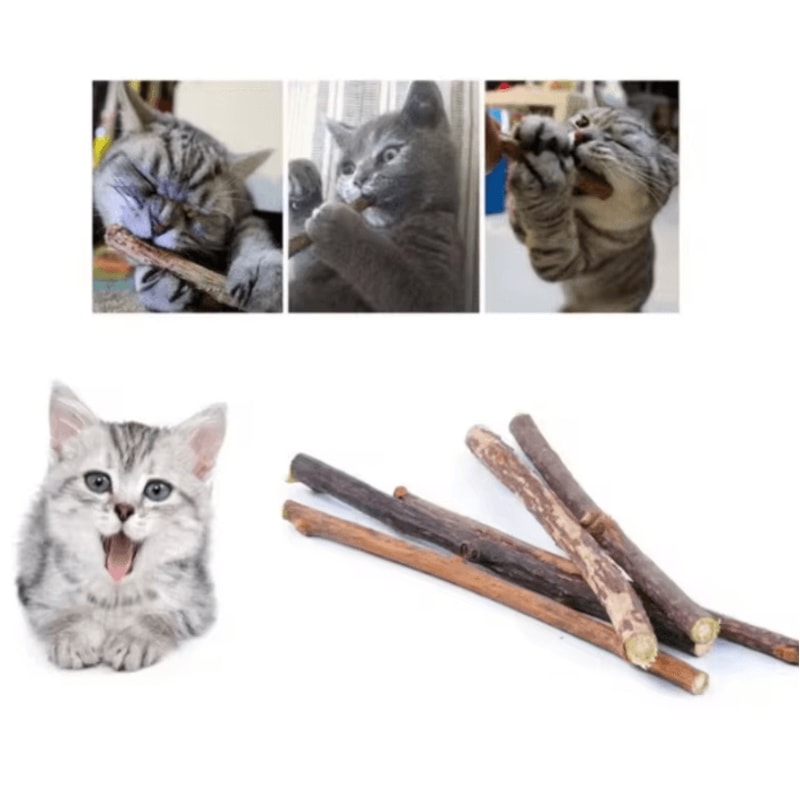 Silvervine Cat Chew Sticks For Dental Health Play 4