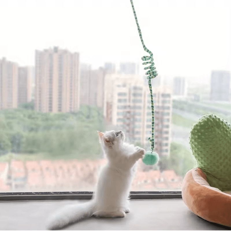 BellBounce Interactive Hanging Cat Teaser Toy 1