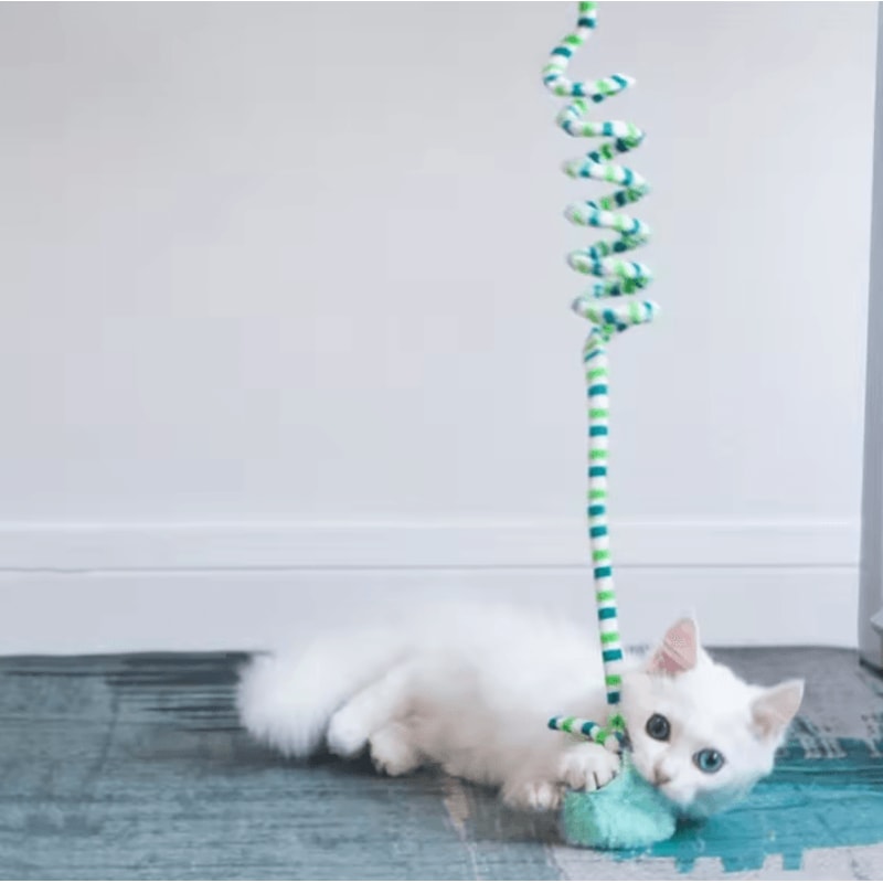 BellBounce Interactive Hanging Cat Teaser Toy 3