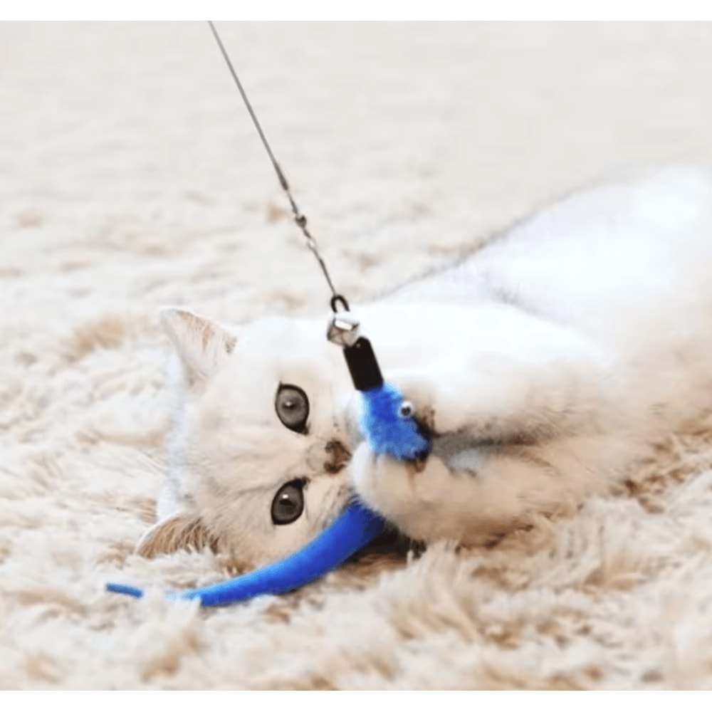 Feather Frenzy 11Piece Cat Teaser Replacement Set 4