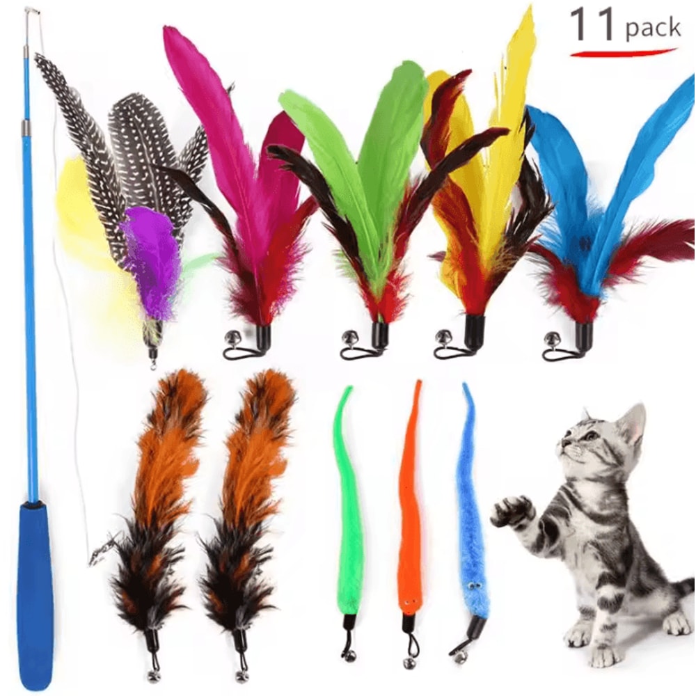 Feather Frenzy 11Piece Cat Teaser Replacement Set 5