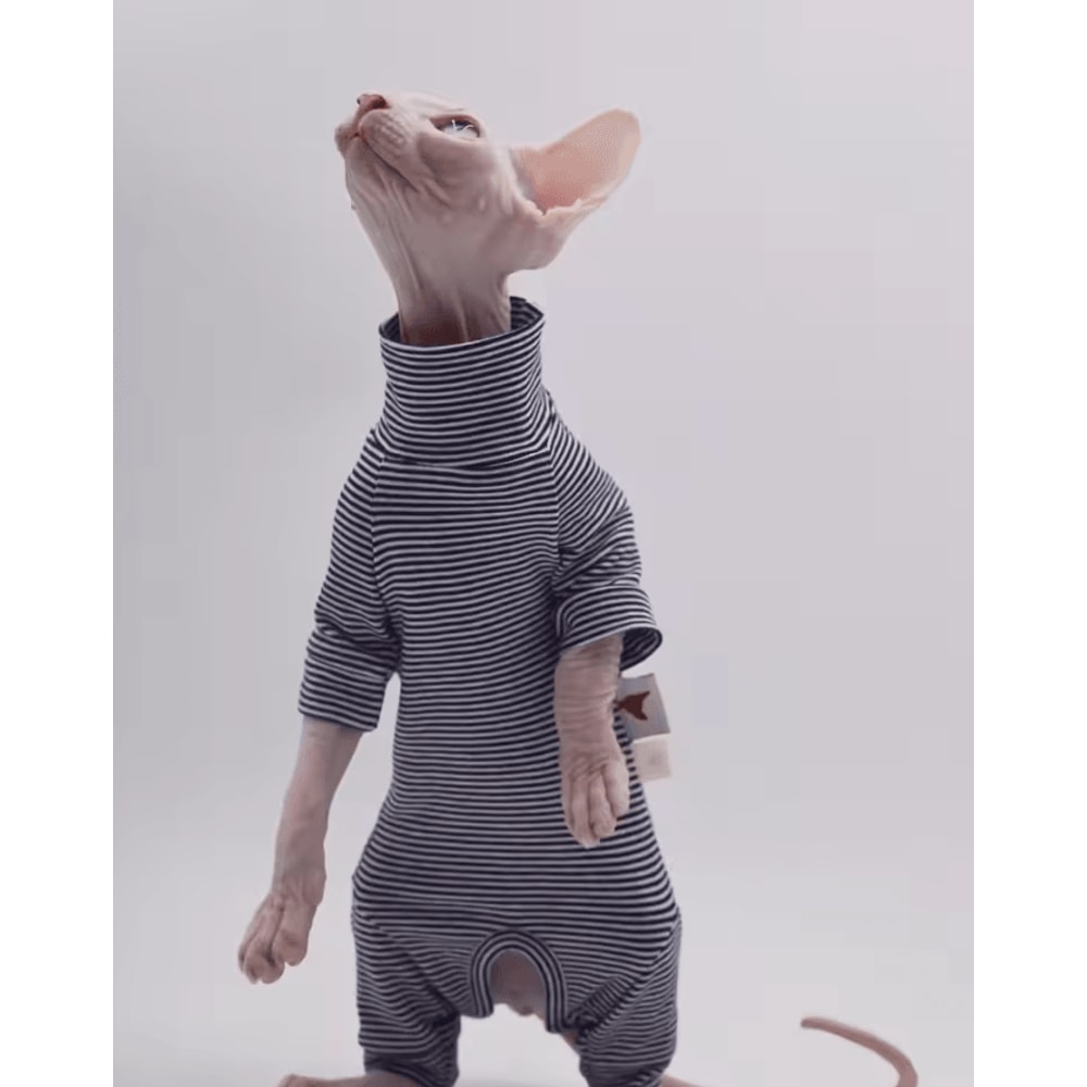 CozyFit FourLegged Sweater For Hairless Cats 0