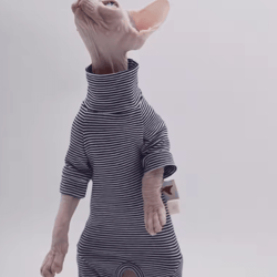 cozyfit four-legged sweater for hairless cats