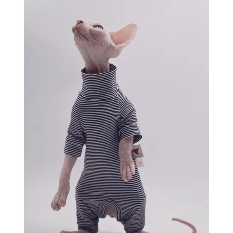CozyFit FourLegged Sweater For Hairless Cats 0