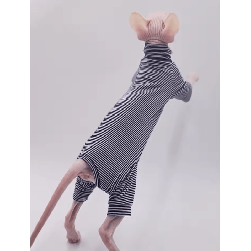 CozyFit FourLegged Sweater For Hairless Cats 2