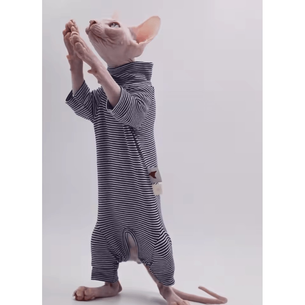 CozyFit FourLegged Sweater For Hairless Cats 4