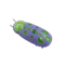 Interactive Escape Bug Cat Toy Vibrating Robot Insect For Indoor Cats 11