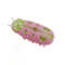 Interactive Escape Bug Cat Toy Vibrating Robot Insect For Indoor Cats 5