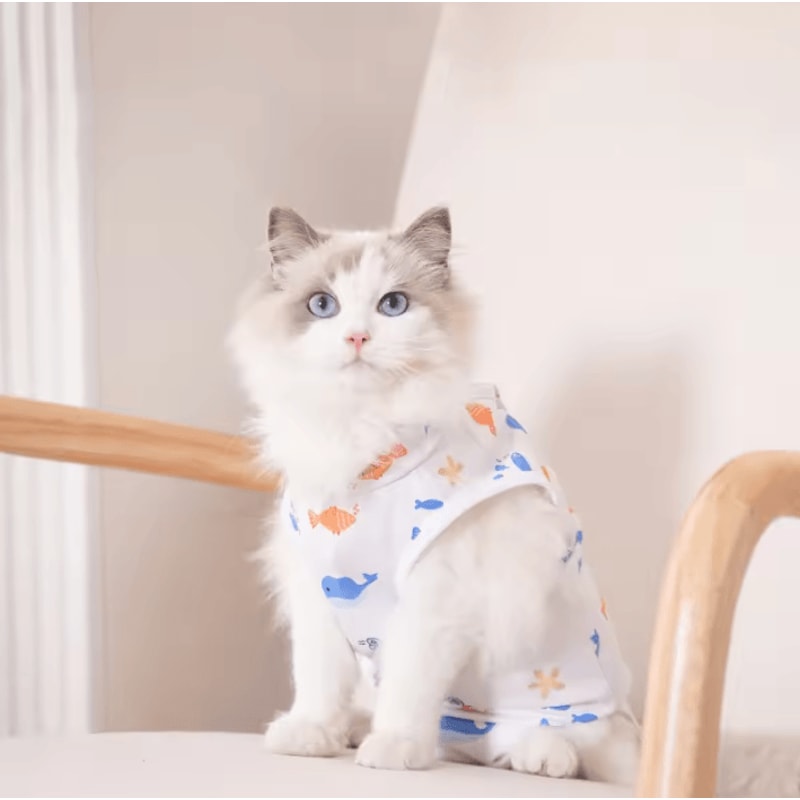 Breathable Cat Recovery Suit For PostSurgery Care Weaning 3