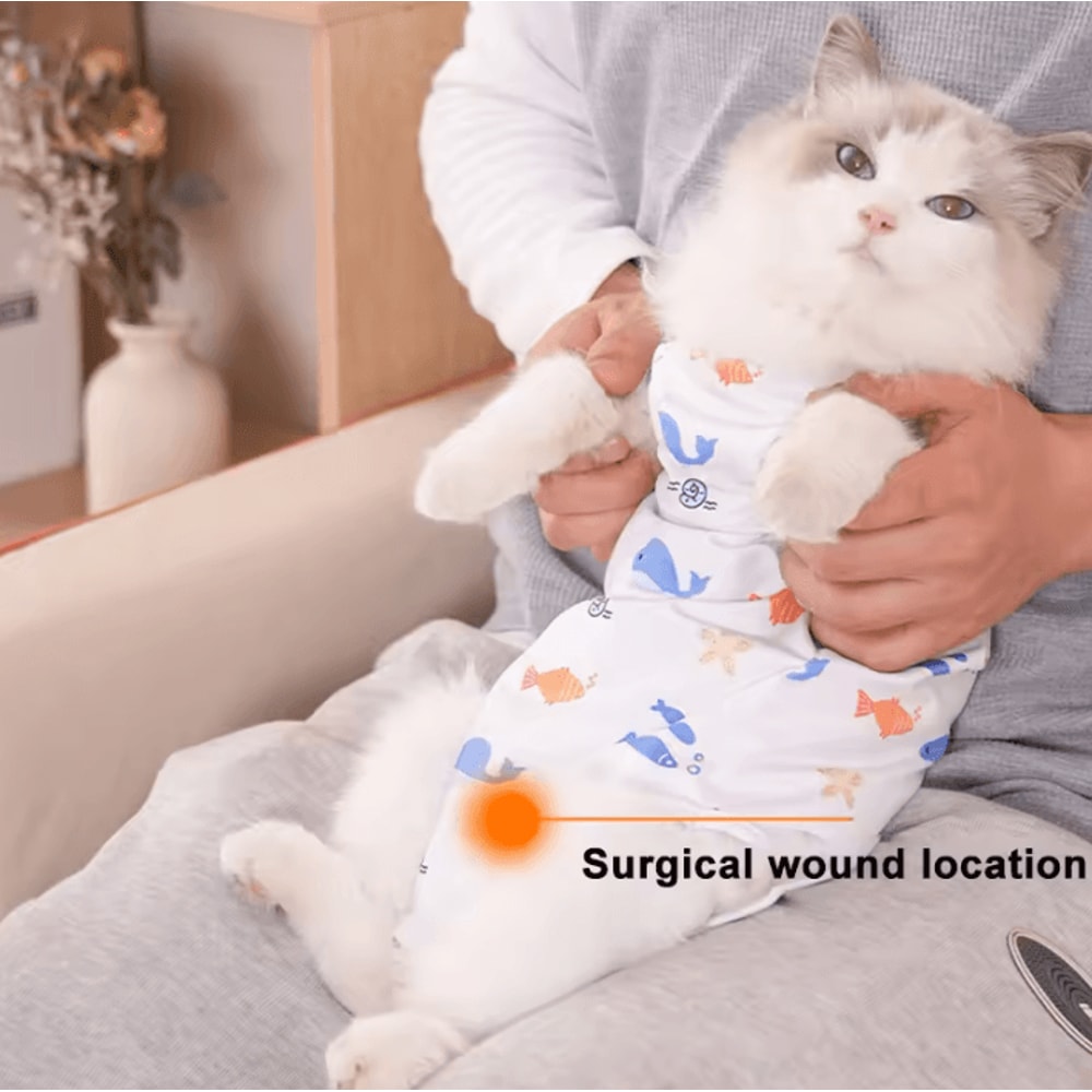 Breathable Cat Recovery Suit For PostSurgery Care Weaning 4