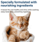 GentleCare Moisturizing Cat Shampoo For Soft Shiny Fur 2