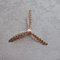 WhirlFeather Interactive Cat Teaser Wand 2