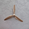 WhirlFeather Interactive Cat Teaser Wand 2