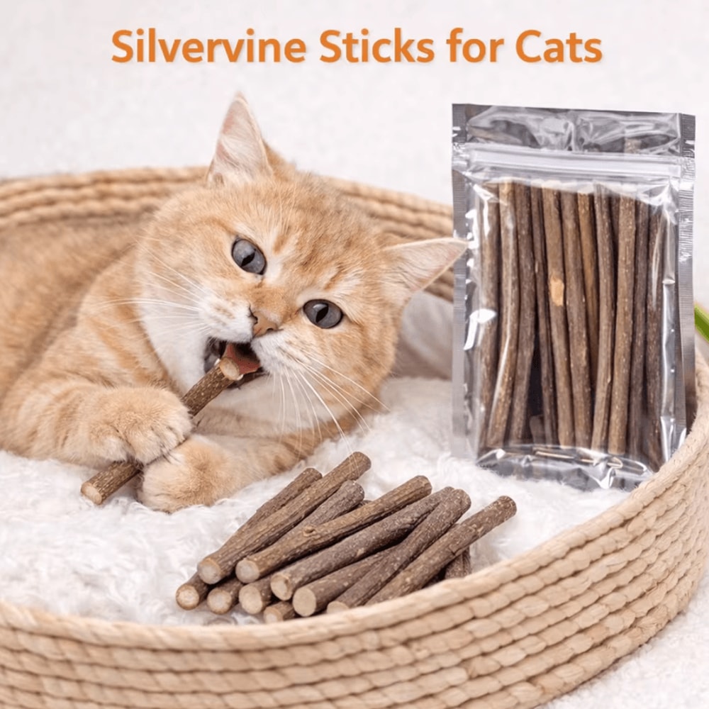 Natural Silvervine Dental Chew Sticks For Cats 0