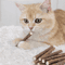 Natural Silvervine Dental Chew Sticks For Cats 1
