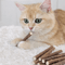 Natural Silvervine Dental Chew Sticks For Cats 1