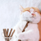 Natural Silvervine Dental Chew Sticks For Cats 2