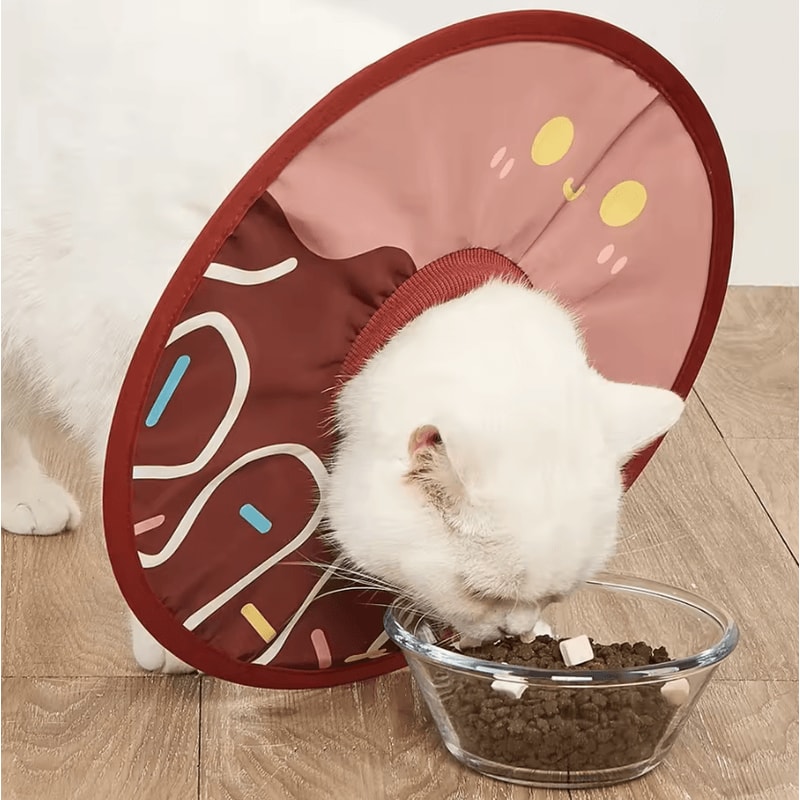 Sunflower Recovery Collar For Cats Small Pets 0