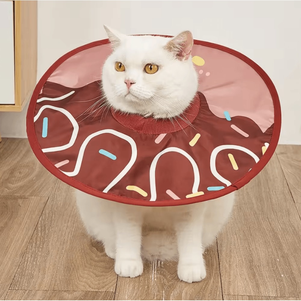 Sunflower Recovery Collar For Cats Small Pets 1