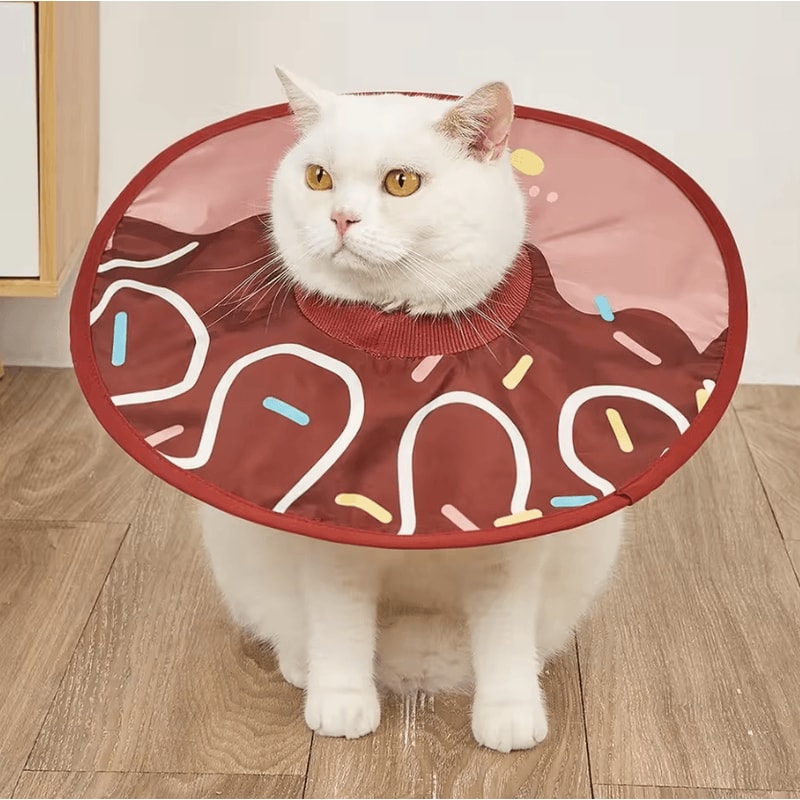 Sunflower Recovery Collar For Cats Small Pets 1